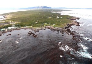 Agtergrond van die Gansbaai Boek
